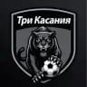 ТРИ КАСАНИЯ🦿