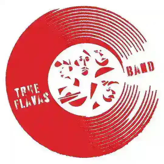 TRUE FLAVAS BAND Profile