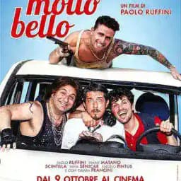 Tutto molto bello FILM Profile