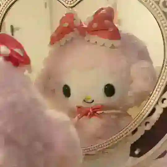 𝐭𝐰𝐢𝐧𝐤𝐥𝐞𝐡𝐚𝐯𝐞𝐧.𝐜𝐨 ᭝ ᨳଓ ՟