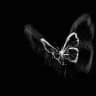 Faz1zy Community🏝