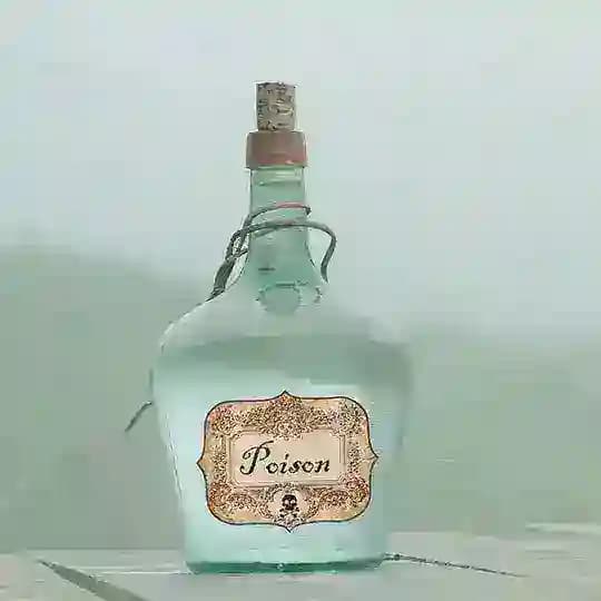 Убийца — дворецкий