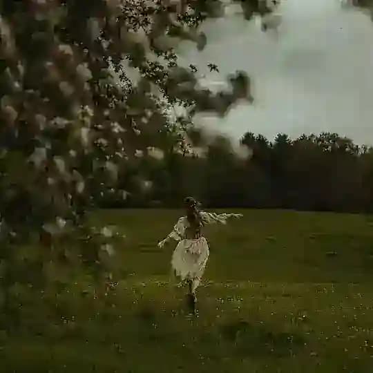 إلاريَس