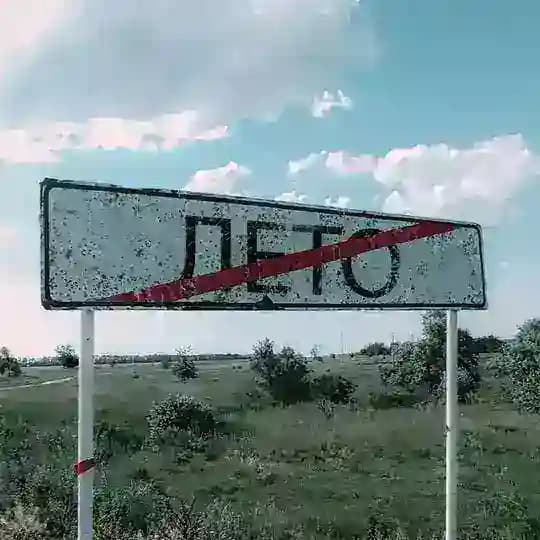 вайкус о чем-то говорит