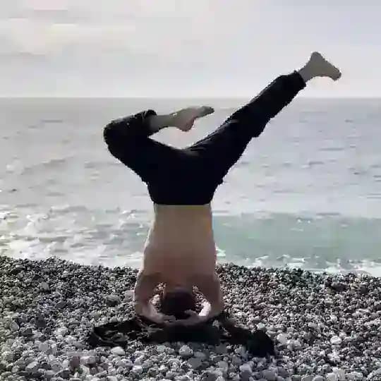 Осознанная жизнь Хамстера
