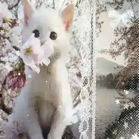 АРХИВ