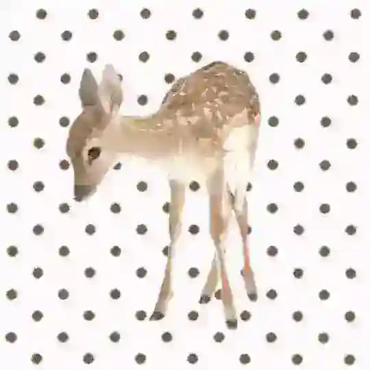 ⁺˚♪ º 𝑣𝑖𝑓𝑒𝑒𝑣_𝑗𝑒𝑤𝑒𝑟𝑙𝑦 ⊹˚ ༘