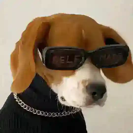 抖音-微信-小红薯专卖店
