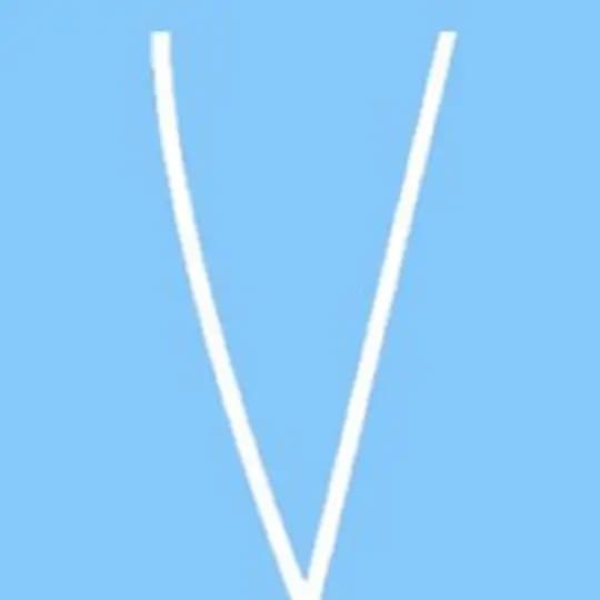 Volchek Design