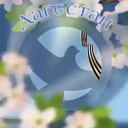 Волонтеры Победы Дагестана