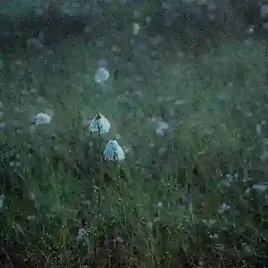 поле не пахано 🌾