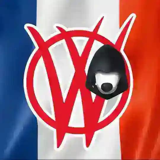 V_V ViVi FRA