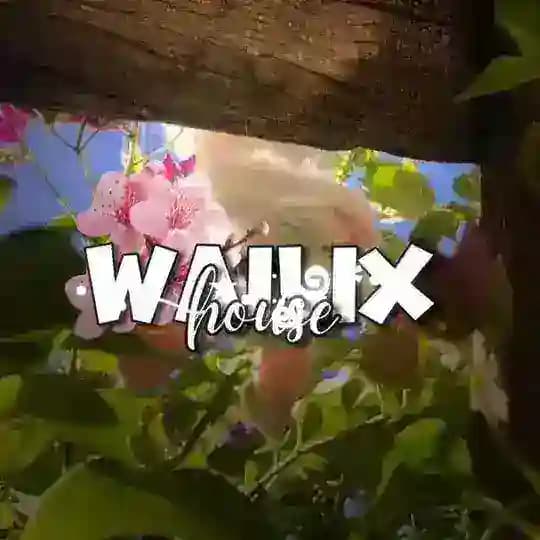 вейликс хаус
