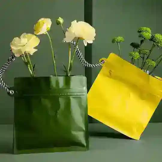 Wangpack