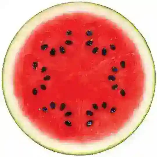 Арбузовый джаз 🍉
