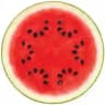 Арбузовый джаз 🍉