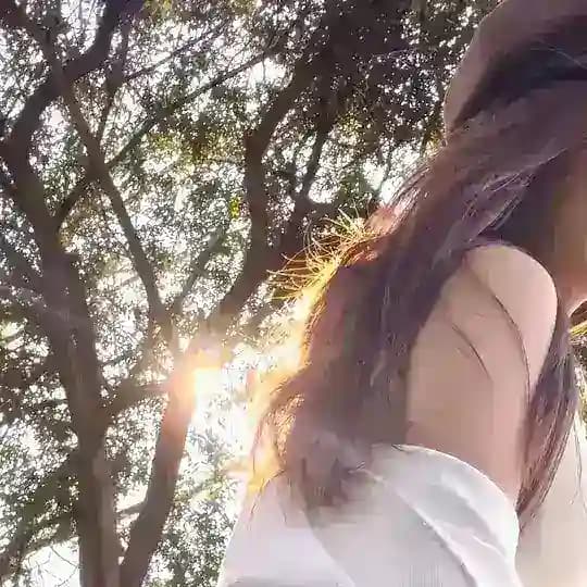个人小奶猫 Profile
