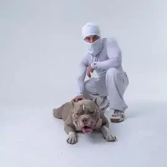 WhiteBully