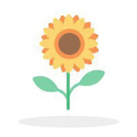 小花-摩根四方系统