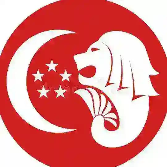 新加坡证件女套图/新加坡身份证/新加坡护照/新加坡驾驶证/证件/精品套图/身份证/护照/驾驶证/绿卡/居住证/P图/PS/@xiaoai588/@xiaoaitaotu/小爱素材