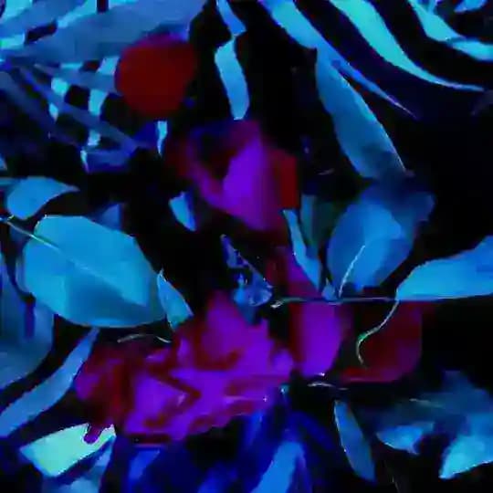 --- 𝘅𝗹𝘂𝗰𝗶𝗱-𝟭𝟯 &-