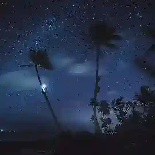 Sea