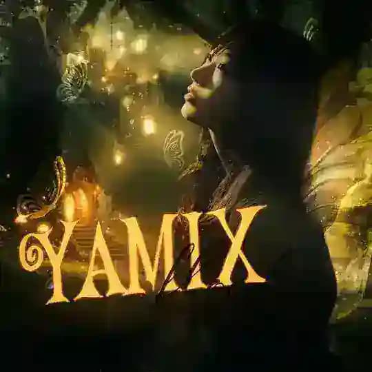 정보 ; Y͟A͟MIX ₊Zz