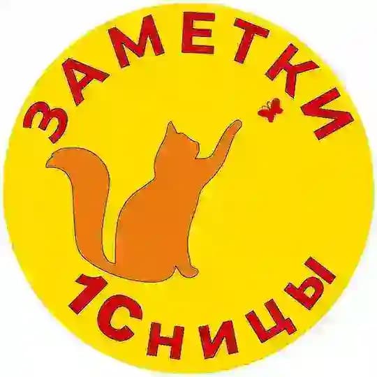 Заметки 1Сницы. Анастасия Синякова