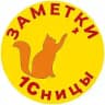 Заметки 1Сницы. Анастасия Синякова