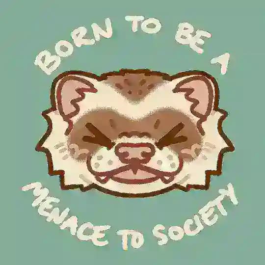 The ferret's Gay Den