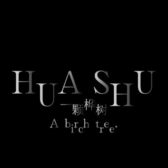 海口 一颗桦树【高端95场】