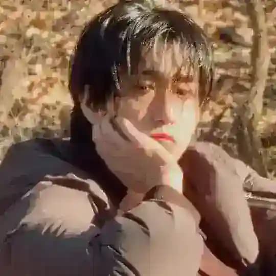 йошкин кот