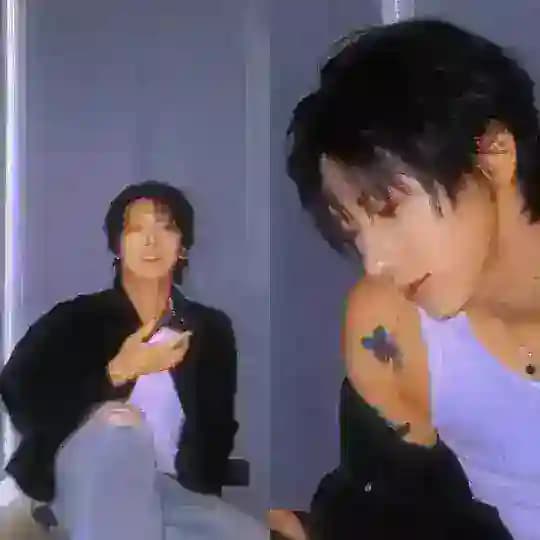 蝶 แมว nabiwa goyangi