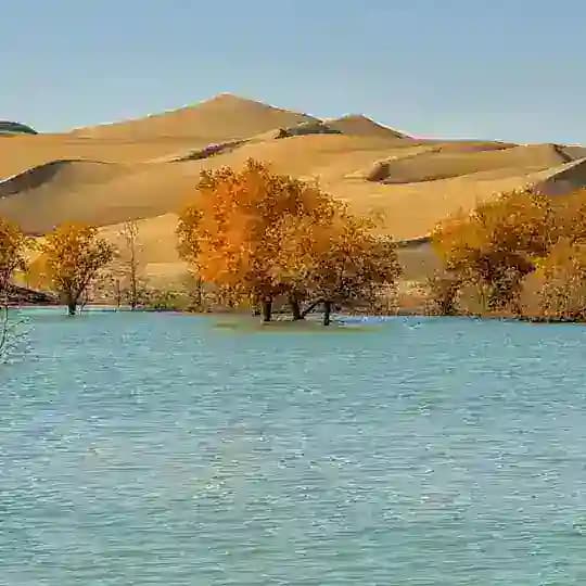 中国画