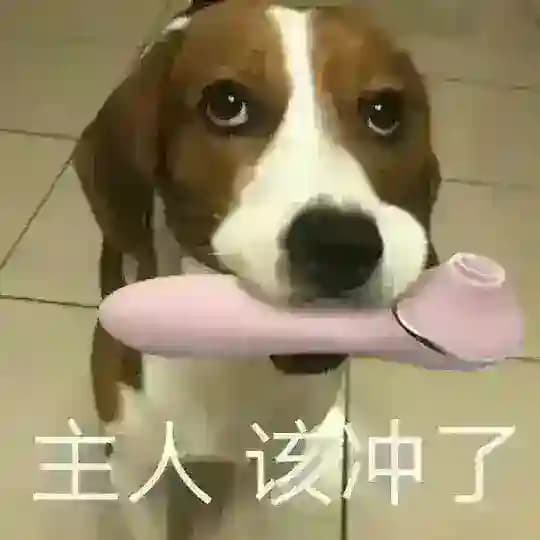 上海会所学院（SPA、商K) Profile