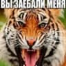 сыр по тыще