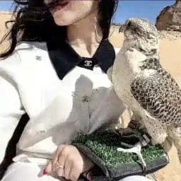 َنوايفّ Profile
