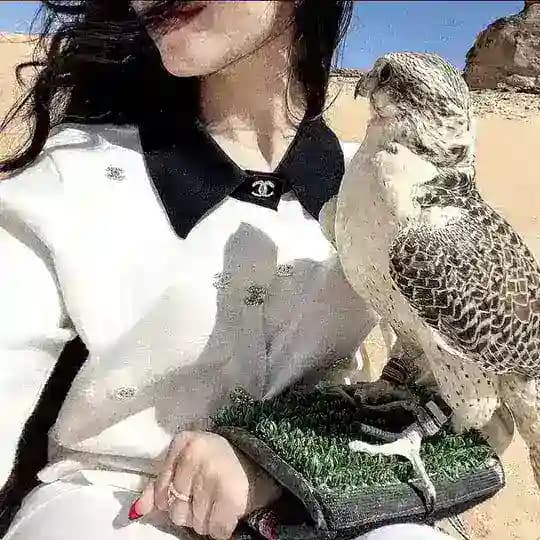 َنوايفّ