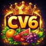 CV6