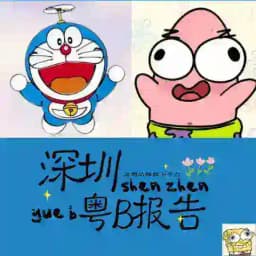 深圳粤B修车报告 Profile