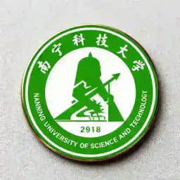 南宁科技大学出击表 Profile