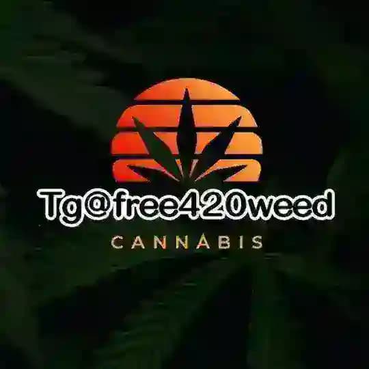 tg@free420weed🌈亞洲大麻交流群-420大麻煙@free420weed油LSD迷幻THC（台灣香港中国） Profile