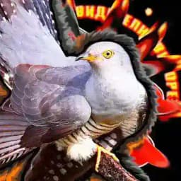 ZVерКук-ку-ЧАТ Profile