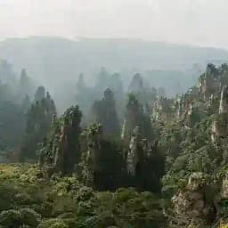 Чжанцзяцзе Туристический Китай Чат Улиньюань Фужун Фэнхуан Горы Аватара Zhangjiajie 张家界国家森林公园 Profile