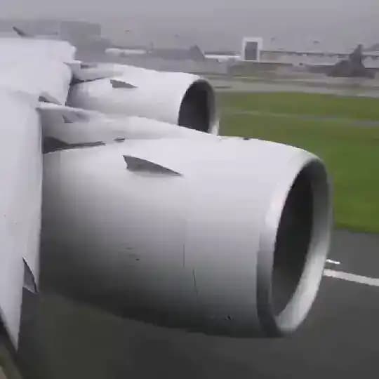 БЕЖЕНЕЦ/РЕЛОКАНТ/ЭМИГРАНТ Profile