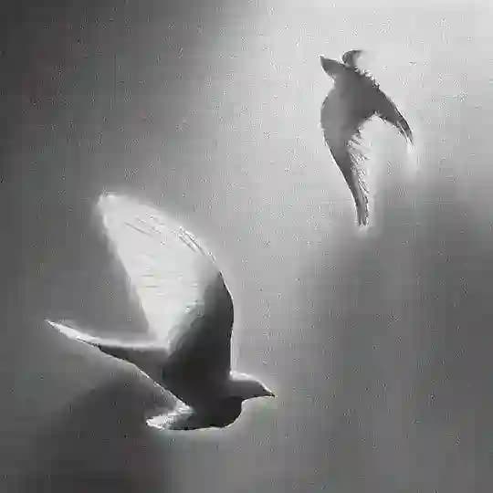 𝐜𝐡𝐢𝐭-𝐜𝐡𝐚𝐭 𝐋𝐂𝐊 𝟐 Profile