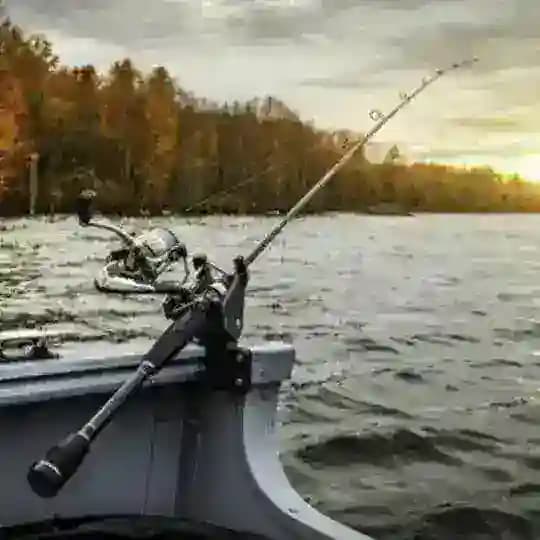 Angeln Deutschland Profile