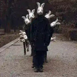 arayislargrubu Profile