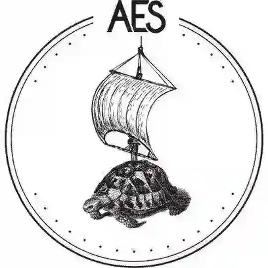 Aes Borsa Profile