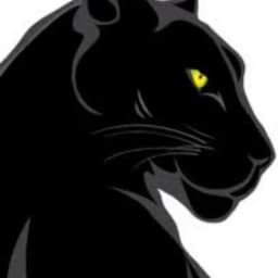 CVV 教学入门基础 Profile